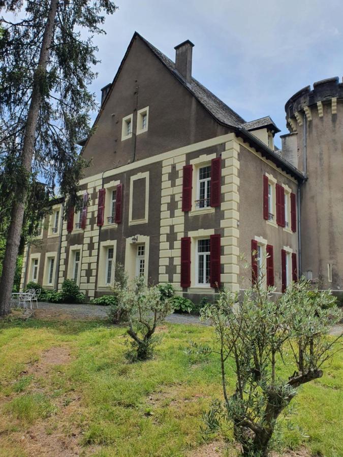 Chateau De Viviez Zewnętrze zdjęcie